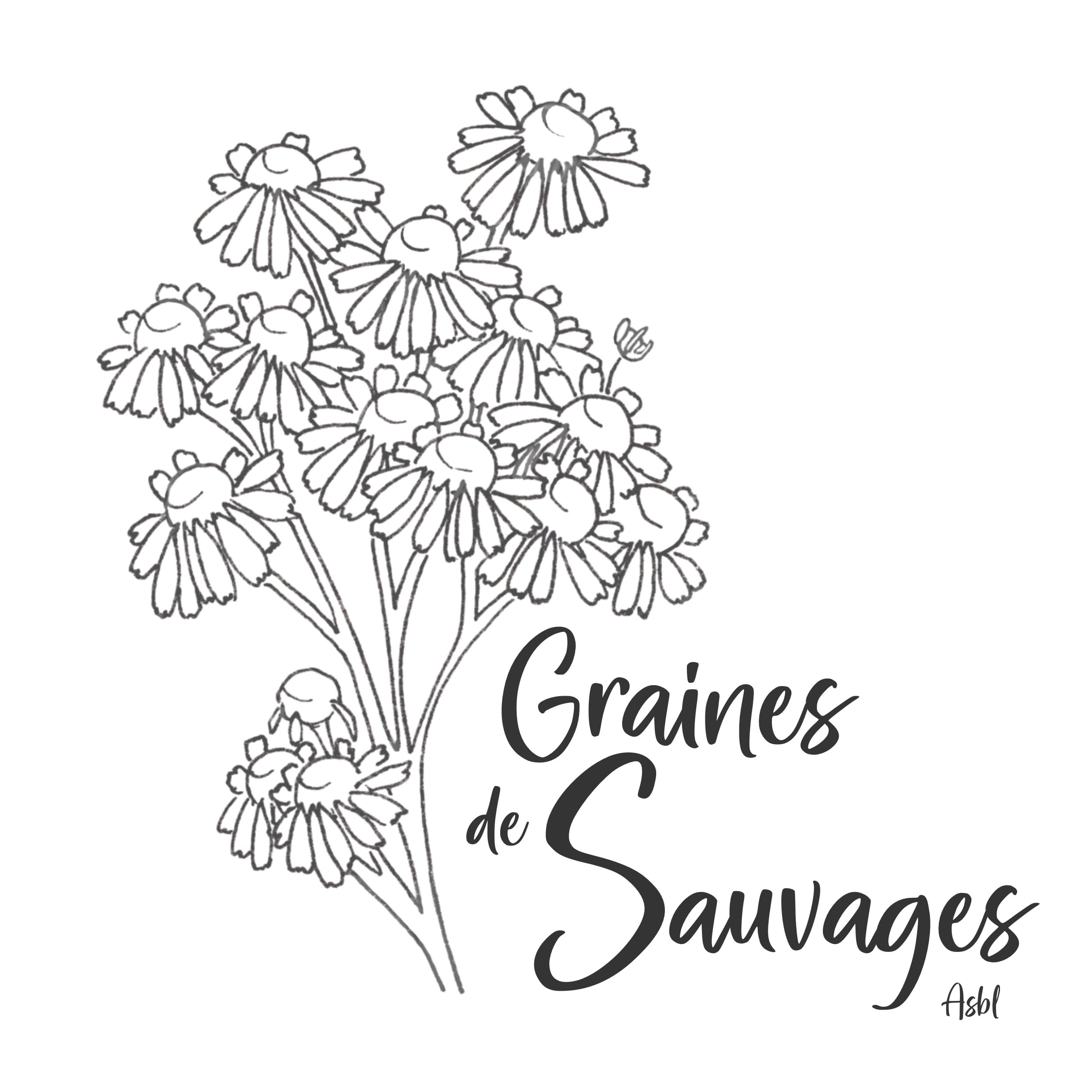 Logo ASBL_Graines de sauvages